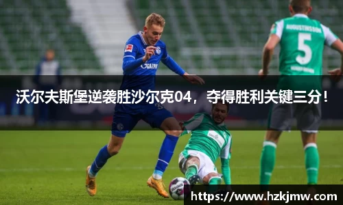 沃尔夫斯堡逆袭胜沙尔克04，夺得胜利关键三分！