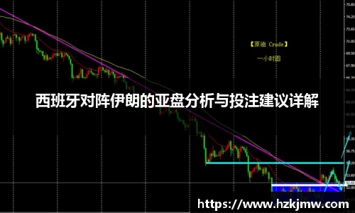 西班牙对阵伊朗的亚盘分析与投注建议详解